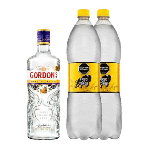 Gin Tonic Gordon's